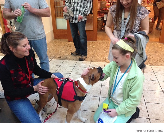 Allie is a member of the Bright and Beautiful therapy dog group who recently did a 'meet and greet' at the Medina County Hospice.