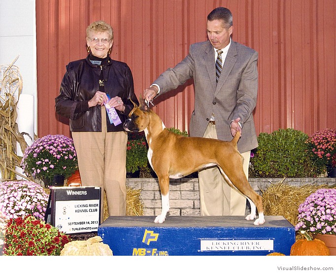 Allie takes WB at the Licking River KC on September 14, 2013 under judge Mrs. Joan Schurr Kefeli.