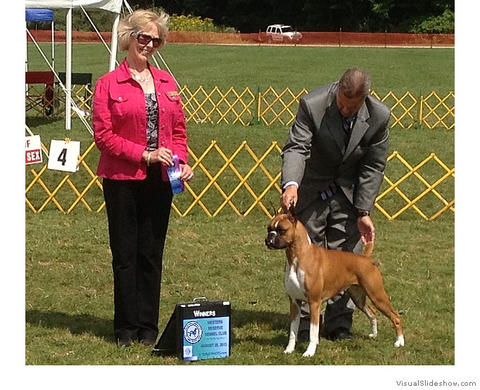 Allie takes WB at the Western Reserve KC under judge Ms. Liz Wertz on August 25, 2013 (owner pic).