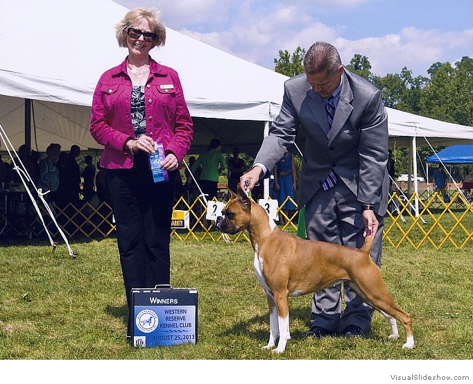 Allie takes WB at the Western Reserve KC under judge Ms. Liz Wertz on August 25, 2013 (official pic).