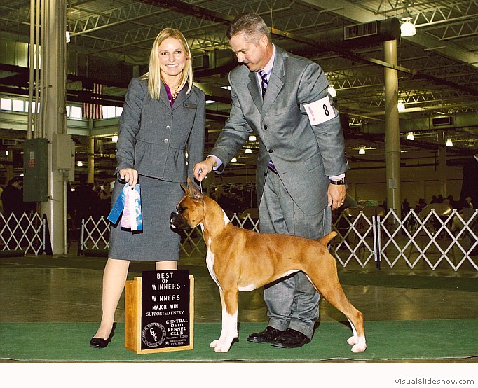 Allie takes WB, BW and a 4 point major at the Central Ohio KC show on November 17, 2013 under judge Miss Evalyn Gregory.