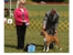 Allie takes WB at the Western Reserve KC under judge Ms. Liz Wertz on August 25, 2013 (owner pic).