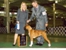 Allie takes WB, BW and a 4 point major at the Central Ohio KC show on November 17, 2013 under judge Miss Evalyn Gregory.