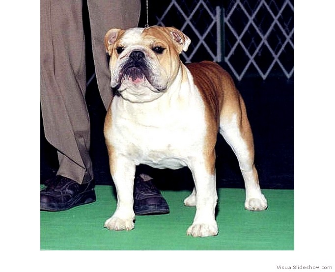 Dudley in the ring!