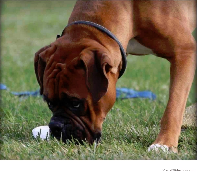 More
                                concentration!<br/><br/>