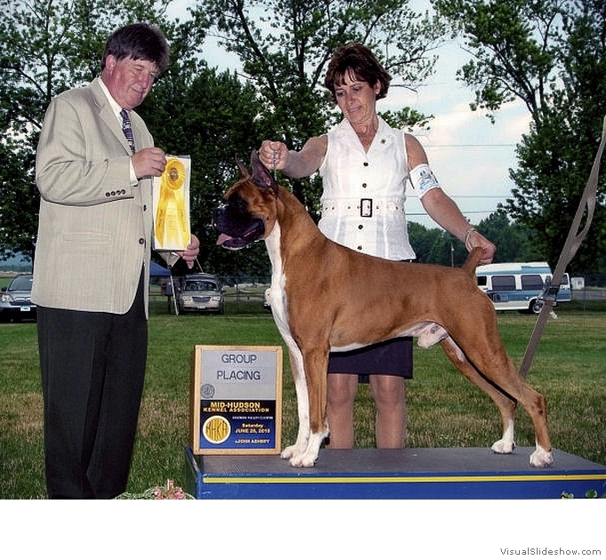 Frankie takes Best of Breed and a Group 3 at the Mid-Hudson Kennel Association on June 26, 2010 under judge Mr. Charles Olvis.