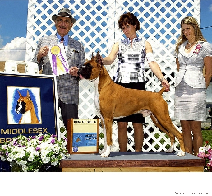Frankie takes BOB at the Middlesex Boxer Club on June 4, 2010 under judge Lt.Col. Wllace H. Pede.