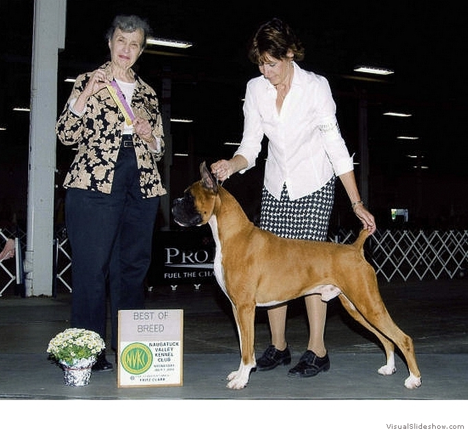 Frankie takes BOB at the Naugatuck KC on July 7, 2010 under judge Mrs. Madeleine B. Fish.