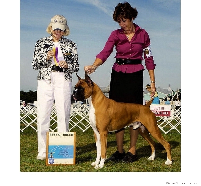 Frankie takes Best of Breed at the Southern Adirondack Dog Club on August 14, 2010 under judge Mrs. Patricia A. Gellerman.