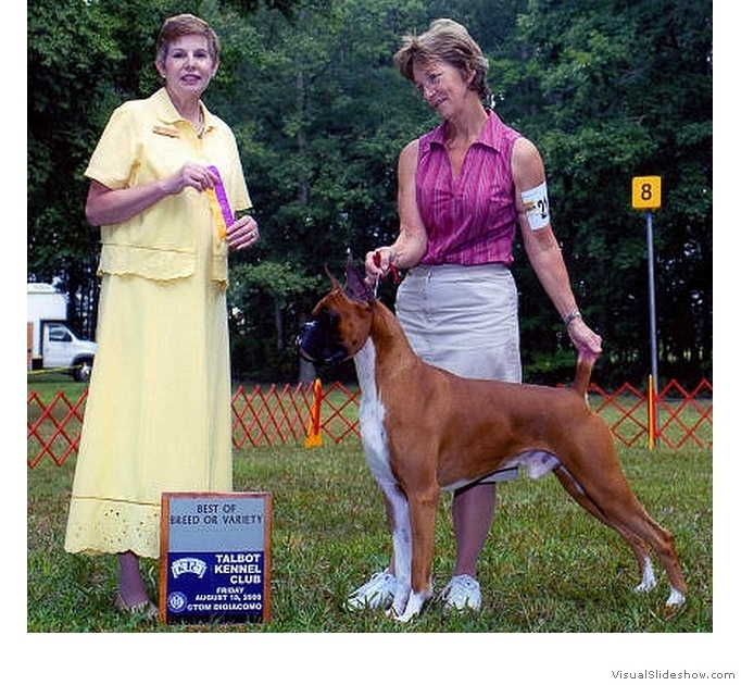Frankie takes BOB at the Talbot KC on August 15, 2008 under judge Dr. Wanda V. Spediacci.