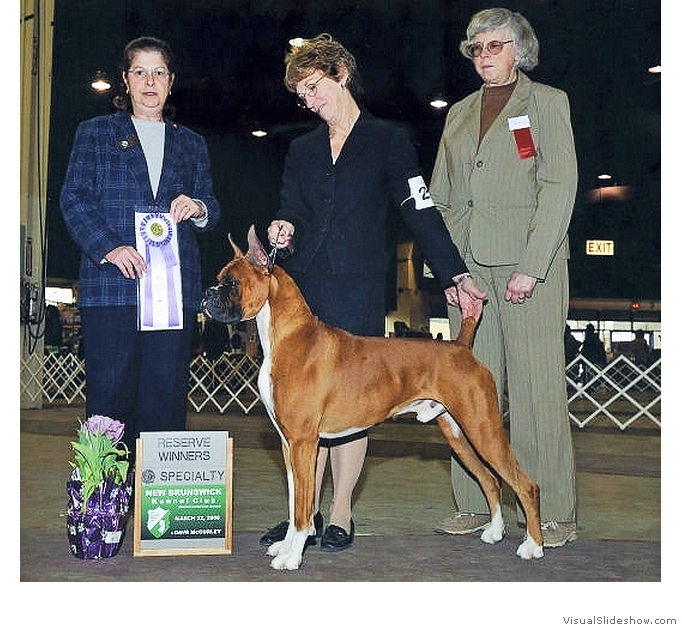 Frankie takes RWD at the New Jersey Boxer Club Specialty (held as a supported entry of the New Brunswick KC show) on March 22, 2008.