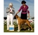 Frankie takes Best of Breed at the Southern Adirondack Dog Club on August 14, 2010 under judge Mrs. Patricia A. Gellerman.