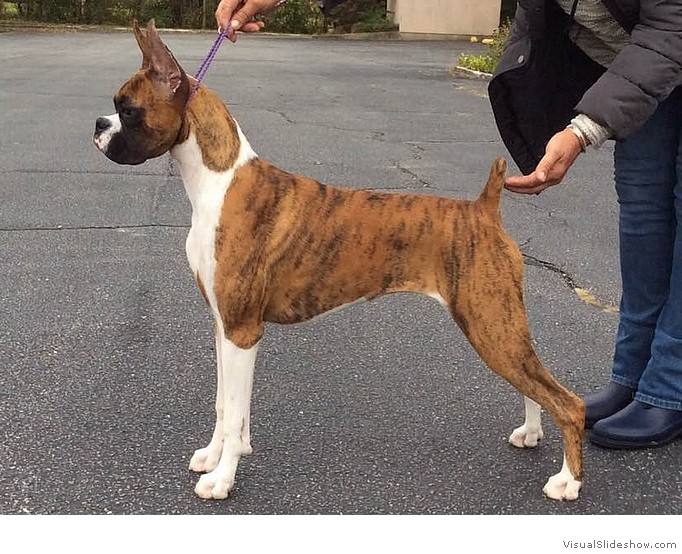 Kelsei - 7 months