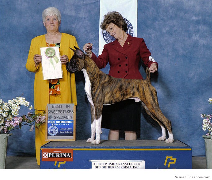 Kimmo takes Best in Sweeps at the Potomac Boxer Club Specialty (held in conjuction with the Old Dominion KC show) on April 24, 2010 under judge Ms. Medley Small.
