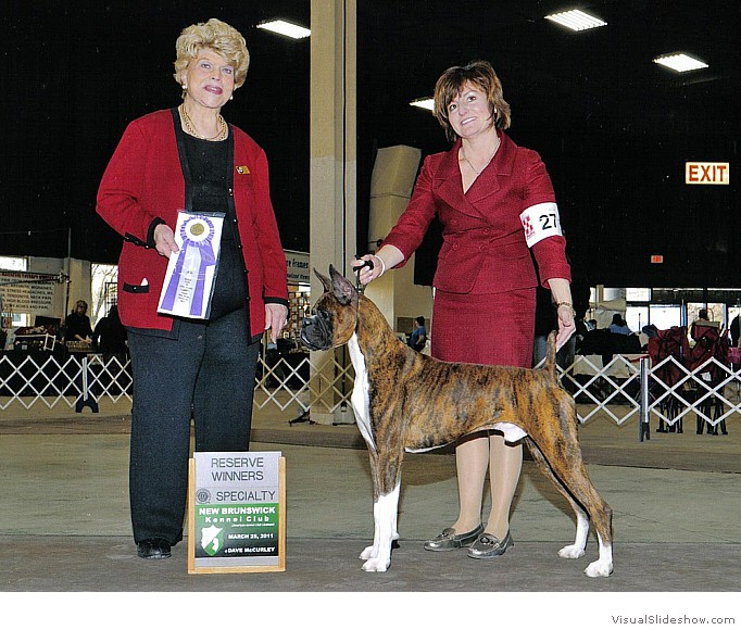 Kimmo takes RWD at the Boxer Club of Long Island Specialty (held in conjunction with the New Brunswick KC show) on March 25, 2011 under judge Mrs. Kathleen Steen.