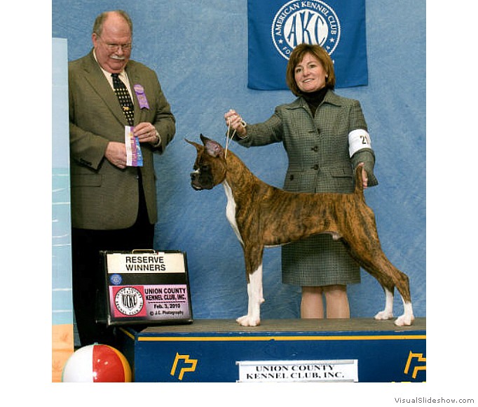 Kimmo takes RWD from the 6-9 puppy class at the Union County KC show on February 3, 2010 under judge Mr. Douglas R. Holloway Jr.