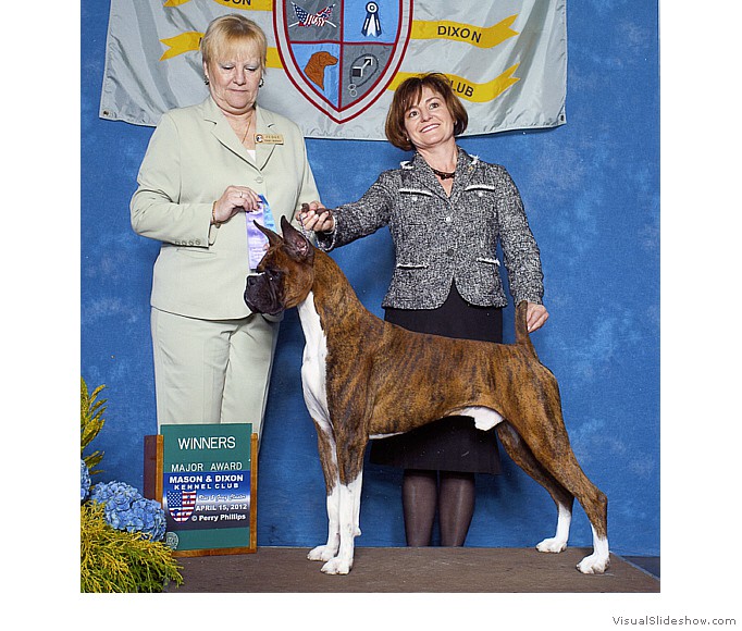 Kimmo takes WD and a 4 point major at the Mason and Dixon KC show on April 15, 2012 under judge Mrs. Terry L. Berrios.