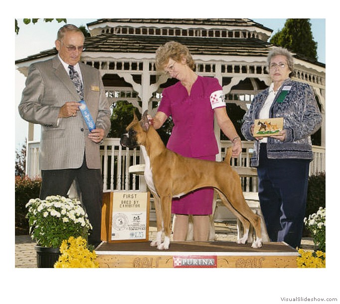 Paris places 1st in the BBE class
                                at the 2009 ABC Regional under judge Mr.
                                Larry Sinclair.