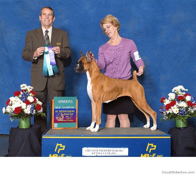 Paris takes WB and the final points
                                to complete her AKC championship
                                requirements at the Greater
                                Fredericksburg KC show on January 11,
                                2013 under judge Mr. Dana P. Cline.