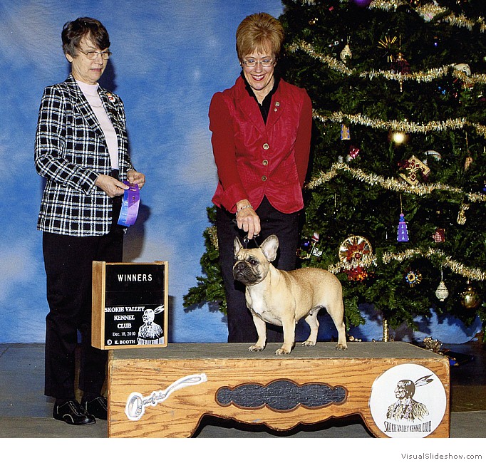 Pecane takes WB at the Skokie Valley KC show on Dec. 18, 2010 under judge Mrs. Donna J. Buxton.
