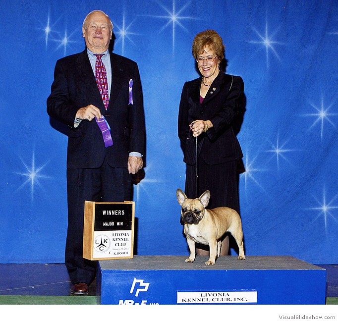 Pecane takes WB and 4 pts at the Livonia KC show in Jan. 11, 2011 under judge Mr. Kent H. Delaney.