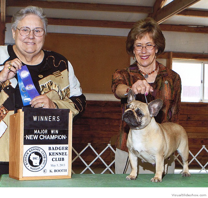 Pecane takes WB and a 4 point major to complete her AKC championship requirements at the Badger KC show on May 5, 2013 under judge Ms. Denny C. Mounce.