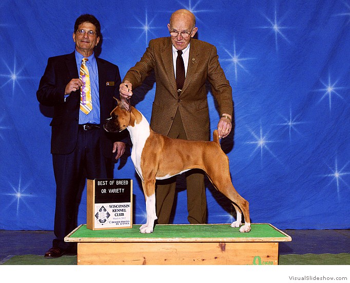 Ricki takes BOB at the Wisconsin KC
                                show on March 4, 2012 under judge Mr.
                                Philip K. Freilich.